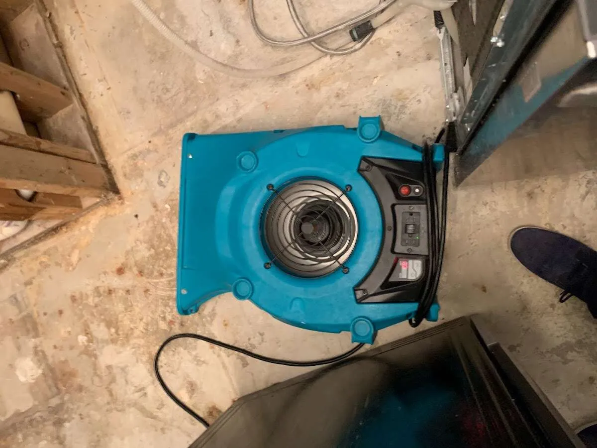 Air mover drying equipment for Mold Remediation & Removal in Watertown